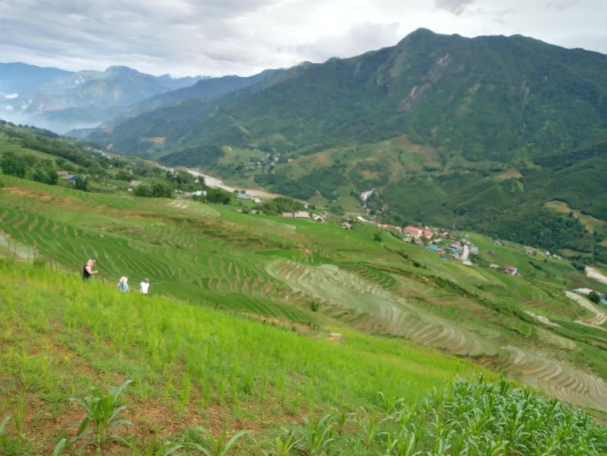 From Hanoi: 2-Day Sapa Trekking Trip with Homestay & Meals - Day Two: Bamboo Forest or Farm Work