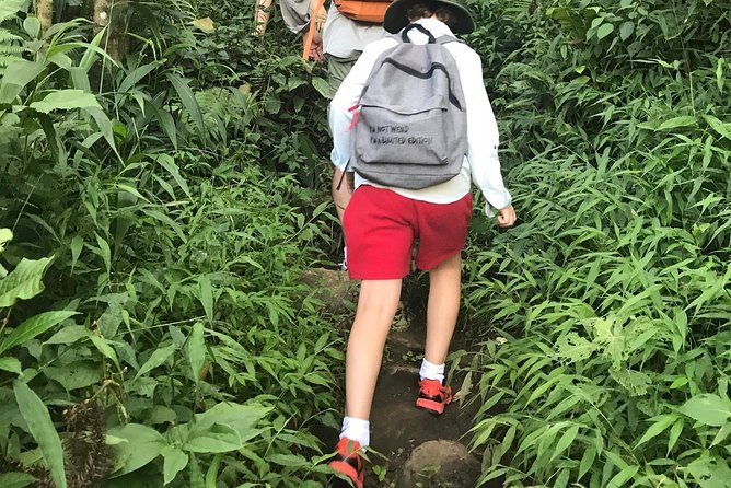 From Hanoi: 3 Days Luxury Sapa Trek & Fansipan Peak with Dcar - Day three: Ham Rong and the long return