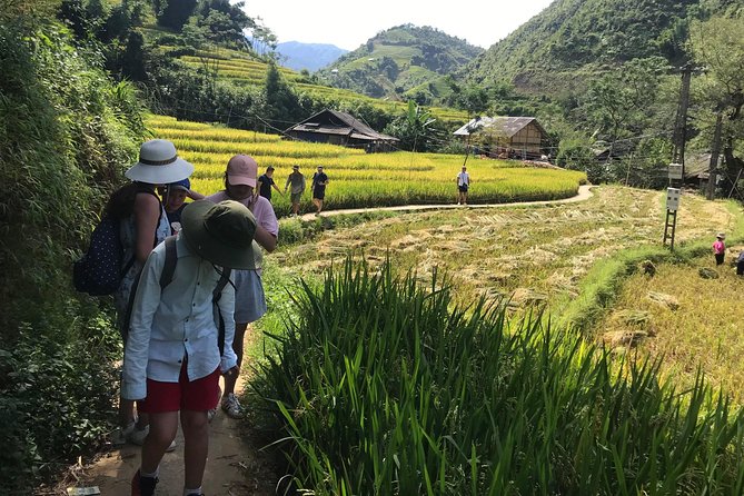 From Hanoi: 3 Days Luxury Sapa Trek & Fansipan Peak with Dcar - Day two: Cat Cat Village and the Fansipan choice