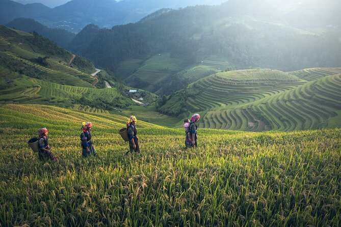 From Hanoi: 3 Days Sapa Trekking & Ethnic Villages by Dcar - What the guide adds to the experience