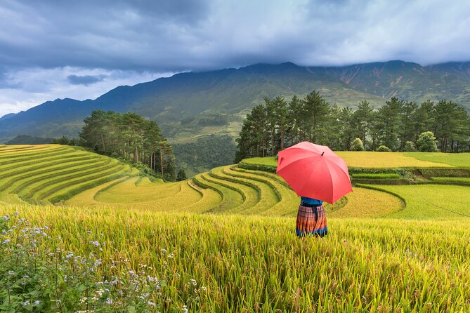 From Hanoi: 3 Days Sapa Trekking & Ethnic Villages by Dcar - Sapa’s ethnic communities and what to watch for