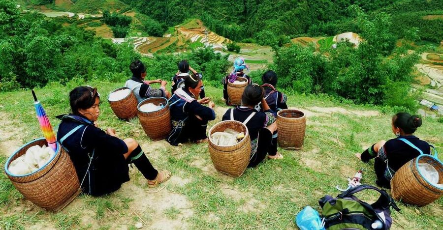 From Hanoi: Explore Sapa 2-Day Tour - What this two-day Sapa trip is really offering