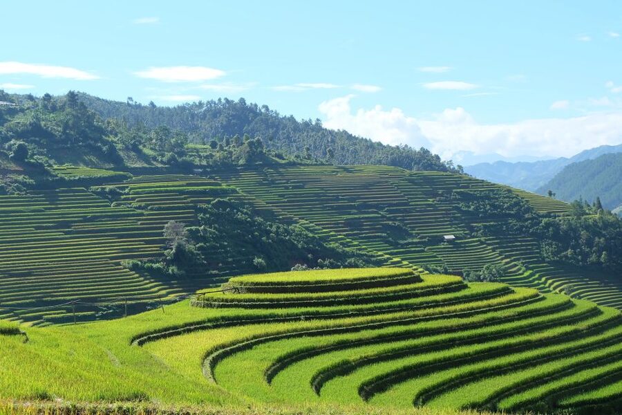 From Hanoi: Explore Sapa 2-Day Tour - Lao Chai and Ta Van: the stronger village experience