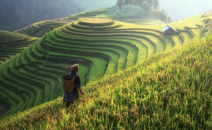 From Hanoi: Explore Sapa 2-Day Tour - Food, hotel, and what the $105 price covers