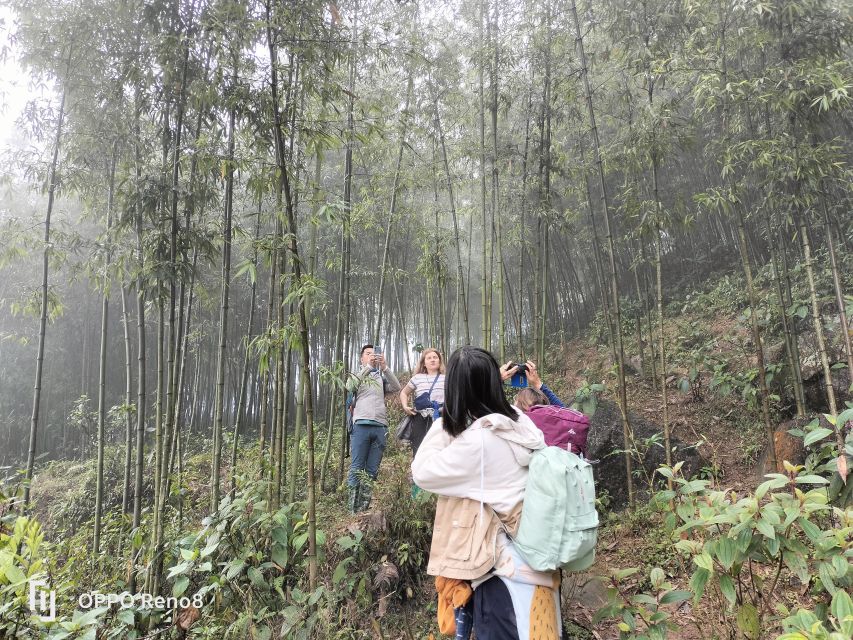 From Hanoi: Guided 2-Day Tour of Sa Pa with Lunch & Dinner - Bamboo forest, suspension bridge, and Giang Ta Chai