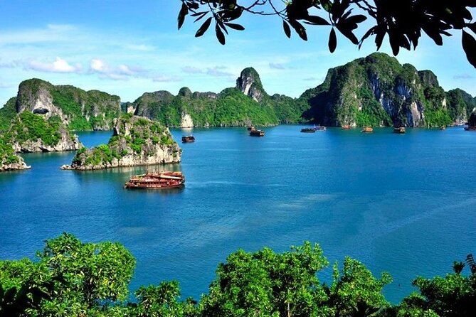 From Hanoi: Ha Long Bay Day tour 4-Star with Kayaking - The pearl farm workshop before the cruise