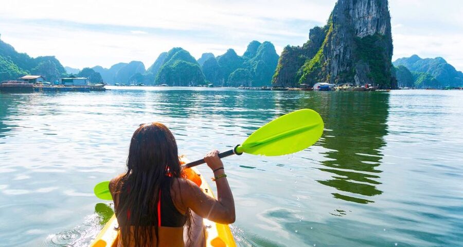 From Hanoi: Halong Bay Day Trip with Lunch and Transfers - Who should book this Halong Bay trip?