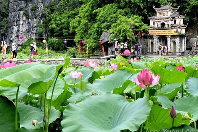 From Hanoi: Hoa Lu, Tam Coc, and Mua Cave Scenic Day Trip - Hoa Lu, where Vietnam’s royal story begins