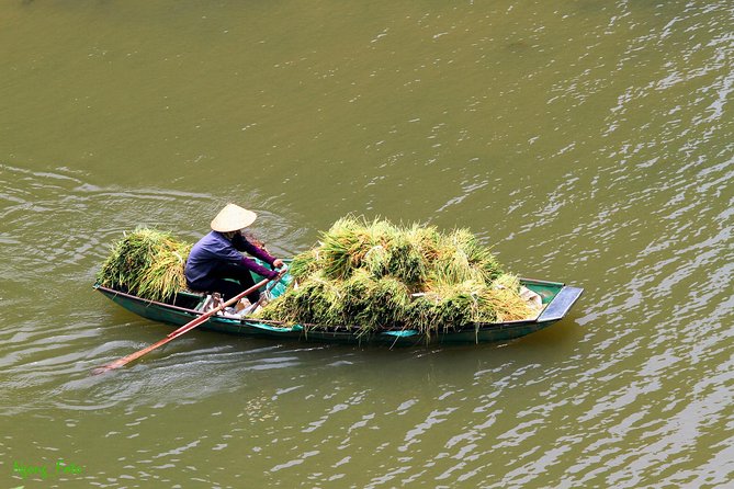 From Hanoi: Hoa Lu - Tam Coc boating - Cycling & Mua Cave visit - Lunch: practical Vietnamese buffet fare