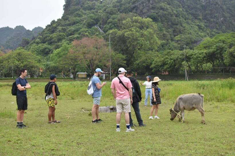 From Hanoi: Ninh Binh, Hoa Lu, Tam Coc, & Mua Cave Day-Trip - Buffet lunch with Vietnamese dishes