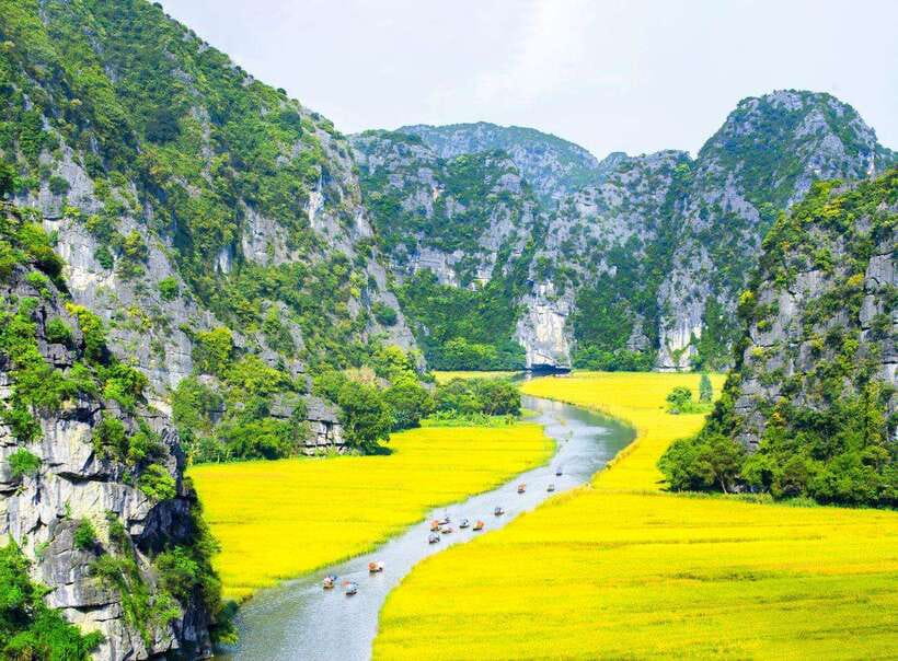 From Hanoi: Ninh Binh- Hoa Lu-Tam Coc- Mua Cave- Highlight - Why this Ninh Binh day trip works
