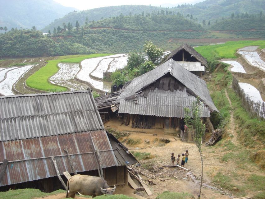 From Hanoi: Sapa 3-Day Medium Trek and Limousine Trip - What a Ta Van homestay is really like