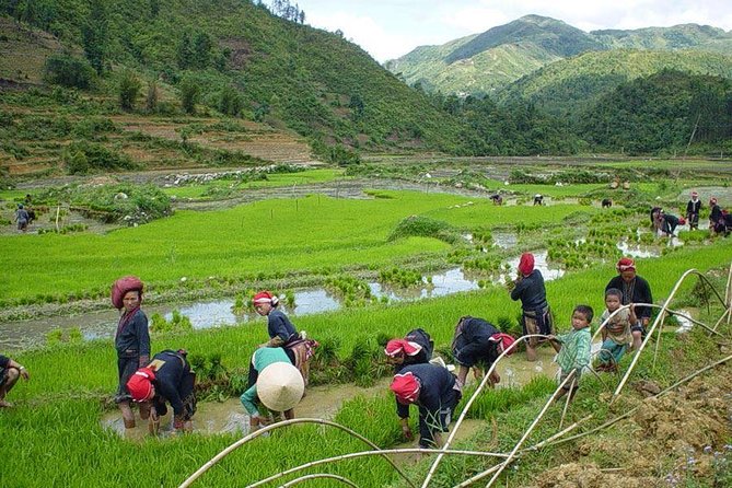 From Hanoi: Sapa Real Experience 2-Day 1 Night at Ethnic Homestay - The 6:30 a.m. departure from Hanoi