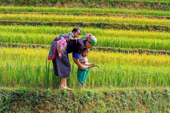 From Hanoi: Sapa Real Experience 2-Day 1 Night at Ethnic Homestay - Sleeping in Ta Van Village