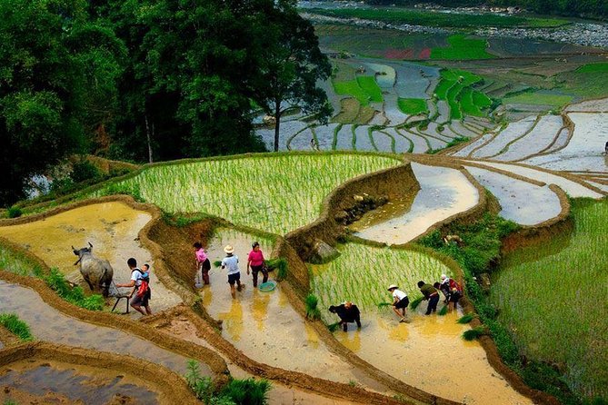 From Hanoi: Sapa Real Experience 2-Day 1 Night at Ethnic Homestay - Who should choose this Sapa trip