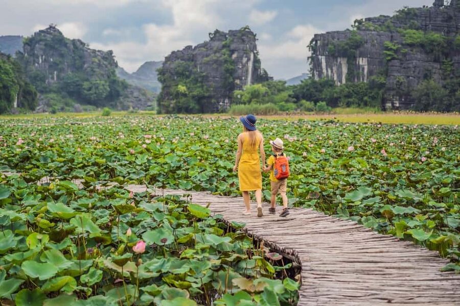 From Hanoi: Trang An Eco-tourism -Bai Dinh pagoda & Mua Cave - Lunch with Ninh Binh specialties