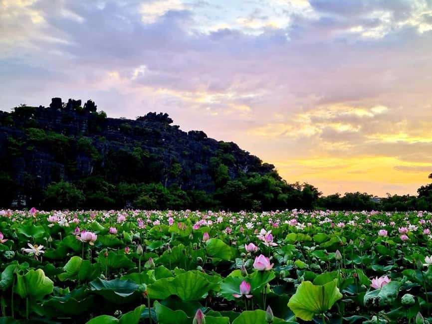 From Hanoi: Trang An eco-tourism - Hoa Lu ancient & Mua Cave - Should you book the Hoa Lu, Trang An, and Mua Cave trip?