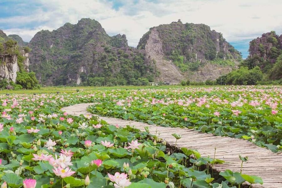 From Hanoi: Trang An eco-tourism - Hoa Lu ancient & Mua Cave - The 500 steps to Mua Cave