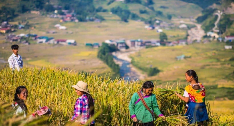 From Hanoi: Trek and Stay: 3-Day Sapa Highlands Adventure - Day 3: Giang Ta Chai and the Red Dao villages