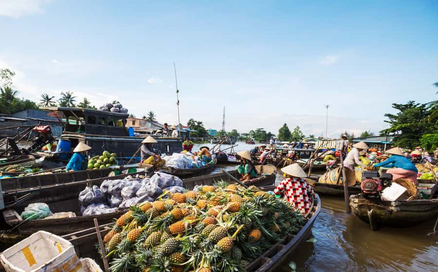 From HCM: Mekong Delta & Cai Rang Floating Market 2-Day Tour - Why two days works better than a Mekong day trip