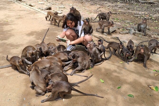 From Ho Chi Minh: Can Gio Trek – Monkey Island & Crocodile Farm - The crocodile stop: interesting, but keep expectations modest