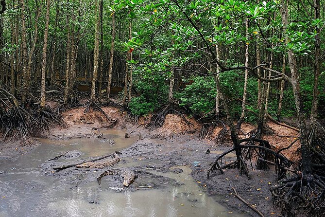 From Ho Chi Minh: Can Gio Trek – Monkey Island & Crocodile Farm - Is the $28.50 price good value?
