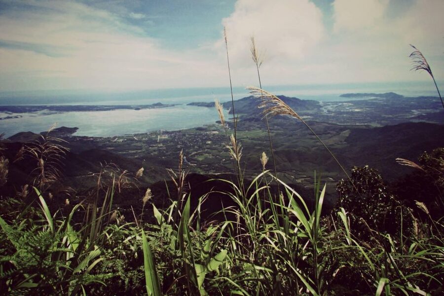 From Hue/Da Nang/Hoi An: Bach Ma National Park Trekking Tour - Hai Vong Dai Peak and the first views