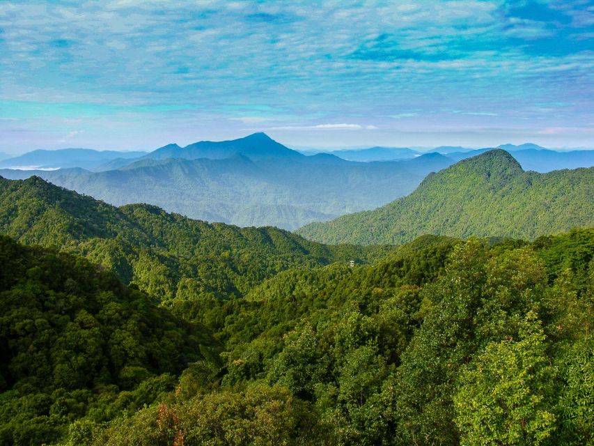 From Hue/Da Nang/Hoi An: Bach Ma National Park Trekking Tour - Picnic lunch in the forest