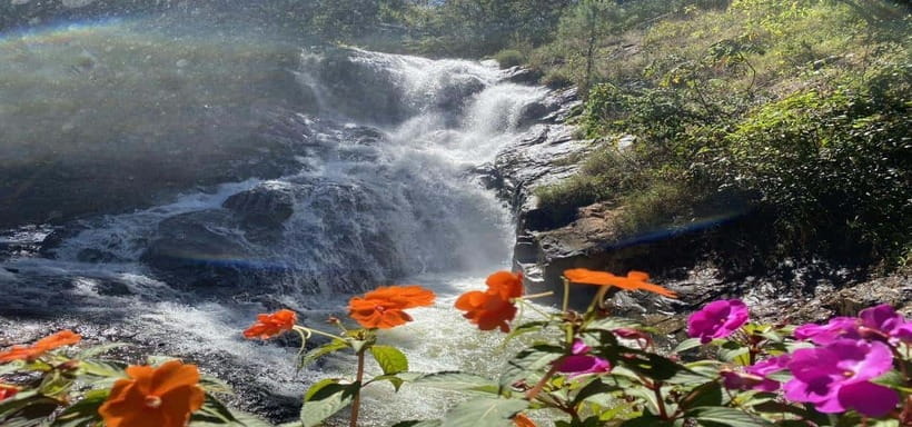 From Nha Trang: Best Seller Top Site Luxury Da Lat City Trip - Leaving Nha Trang through the coffee country