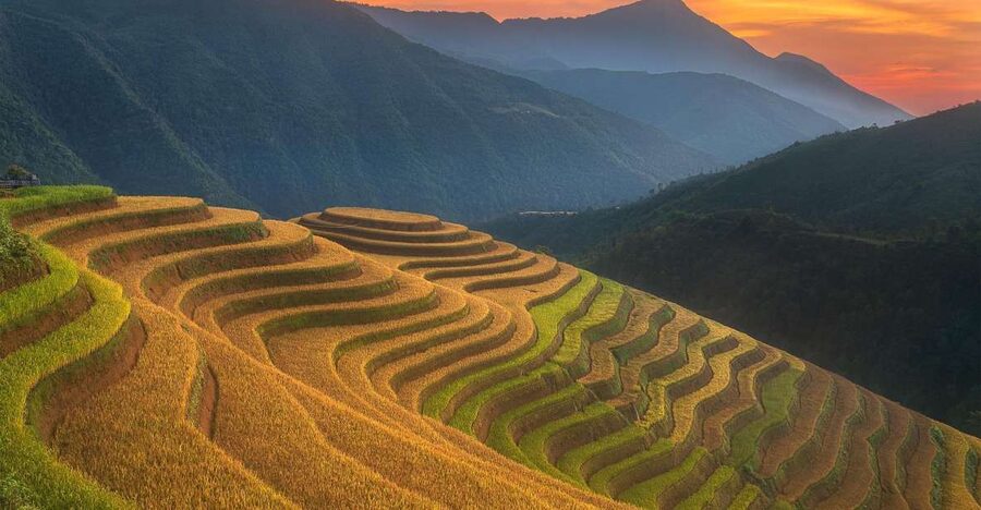 From Sapa: 1-Day Guided Trek to Lao Chai & Ta Van with Lunch - Walking beside Muong Hoa and Y Linh Ho Stream