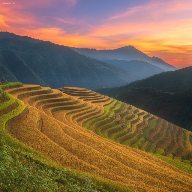 From Sapa: 1-Day Guided Trek to Lao Chai & Ta Van with Lunch - Meeting your guide in Sapa between 9:00 and 9:30