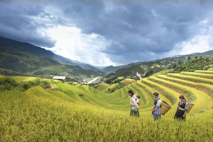 From Sapa Homestay Hideaway 2-Day Local Life Adventure - Leaving Sapa for Y Linh Ho and Lao Chai
