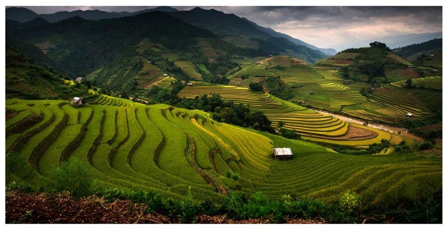 From Sapa: Terrace Fields and Local Villages Trek with Lunch - Terraces beyond the town edge