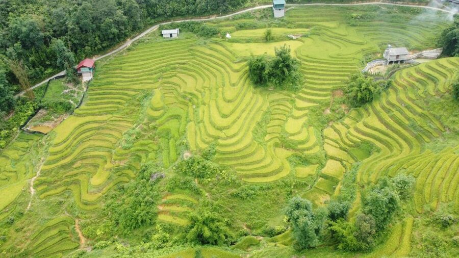 From Sapa: Terrace Fields and Local Villages Trek with Lunch - Who should book this walk?