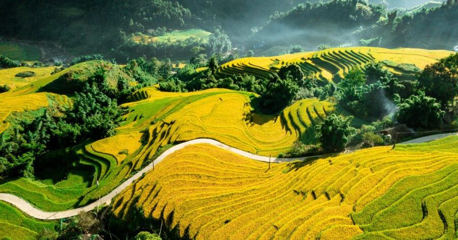 From Sapa: Terrace Fields and Local Villages Trek with Lunch - Should you book the Sapa terraces trek?