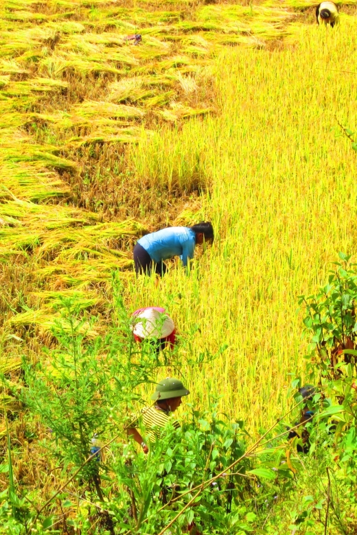 From Sapa: Waterfalls, Trekking and Tribal Villages Tour - Key points to know before booking