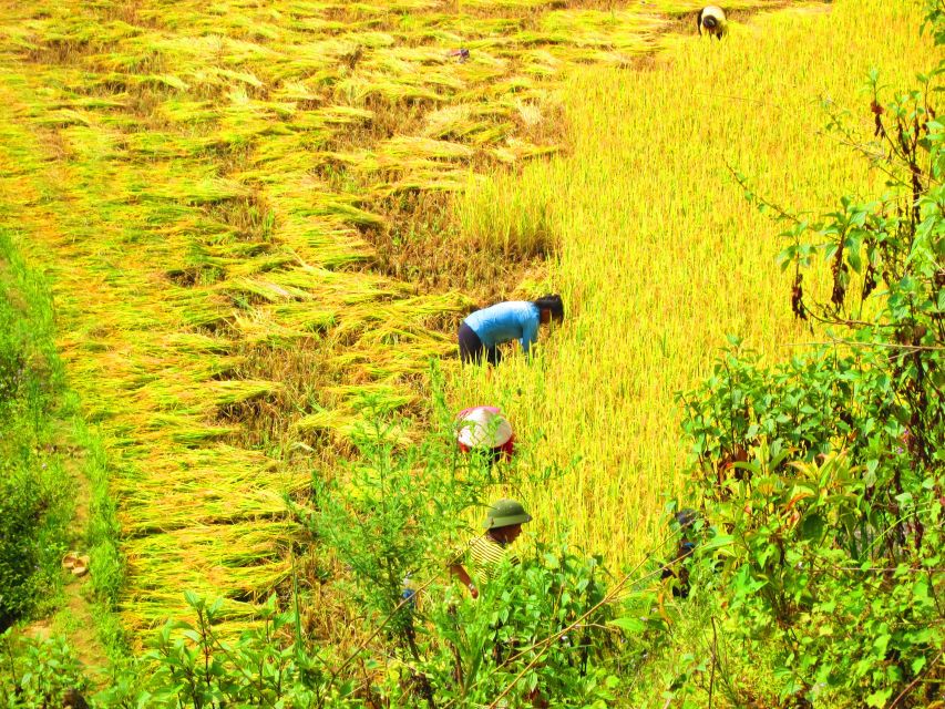 From Sapa: Waterfalls, Trekking and Tribal Villages Tour - Picnic lunch in the village