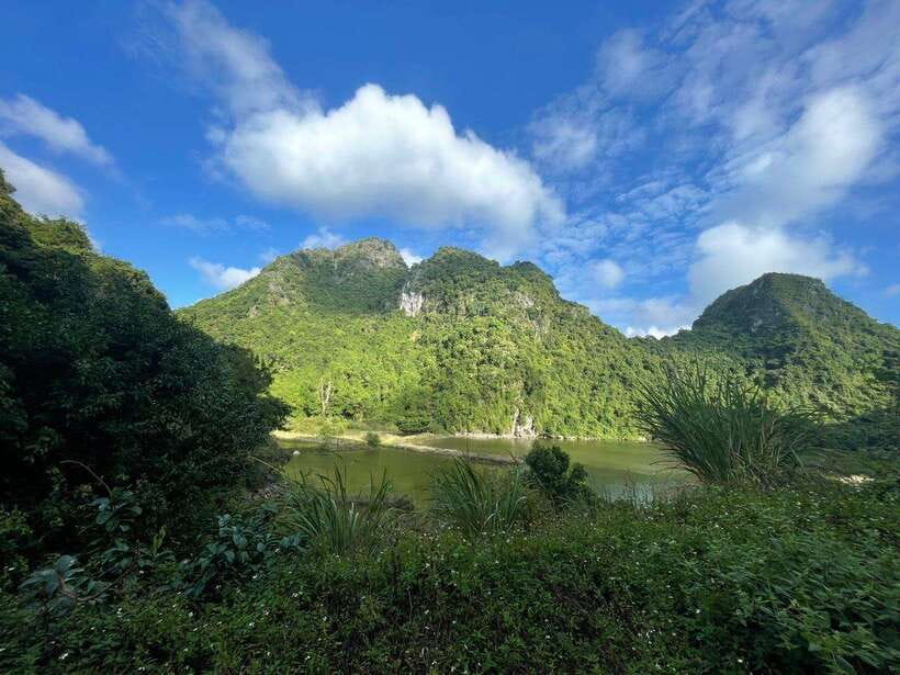 Full day hike - climbing in Jungle of Cat Ba National park - Key points to know before booking
