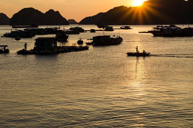 Full day hikes, Cycles, Kayaks & swims in Cat Ba National park - Frog Pond brings a change of pace