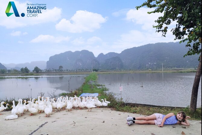 Full Day Private Tour in Ninh Binh(Trang An-Bich Dong-Mua Cave) - What the $139 price includes