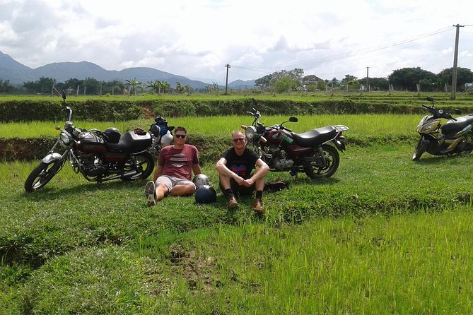 Guided Daily City Tours in Danang - Son Tra Mountain and the High Viewpoints