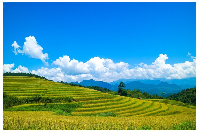 Ha Giang Loop 2D/1N Private Room + Free Dorm Hotel 1N before tour - Why this short Ha Giang Loop works