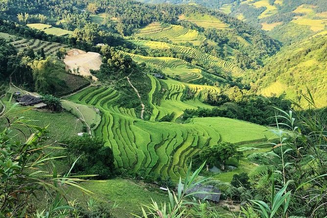 Ha Giang Loop Private Motobike Tour - 4 Days and 3 Nights! - Day 3: Lung Cu Flag and the Chinese border