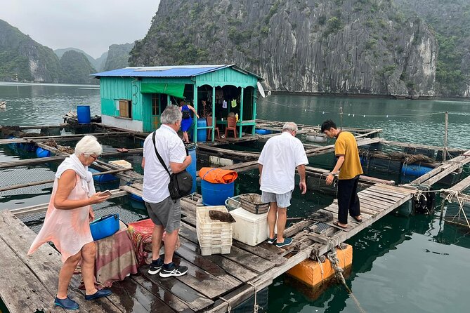 Ha noi: 3D- Halong, Lan ha bay classic cruise, Ninh Binh full day - Sunrise and Viet Hai Village on Cat Ba Island