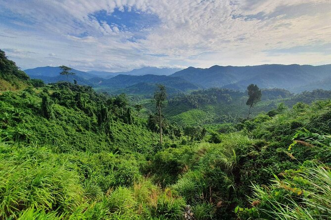 Hai Van pass private car tour from Hue-Da Nang-Hoi An (1Way|Loop) - Hai Van Pass, with time to stop and look