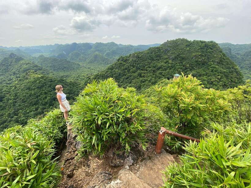 Half Day Hiking to Cat Ba National Park with a Guide - Why this four-hour tour works so well on Cat Ba