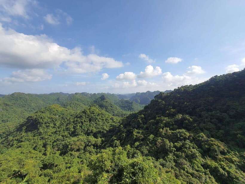 Half Day Hiking to Cat Ba National Park with a Guide - Trung Trang Cave and its old limestone formations
