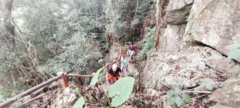 Half Day Hiking to Cat Ba National Park with a Guide - Hospital Cave: wartime history inside a mountain