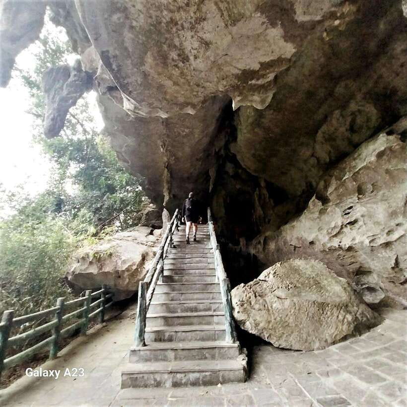 Half Day Hiking to Cat Ba National Park with a Guide - Transport, timing, and group size