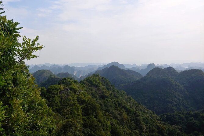 Half Day Hiking to Discover Cat Ba National Park with a Guide - Key points to know before you book